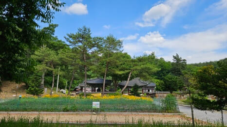 영월 보덕사 : 단종의 슬픔을 품고 연꽃으로 피어난 천년고찰