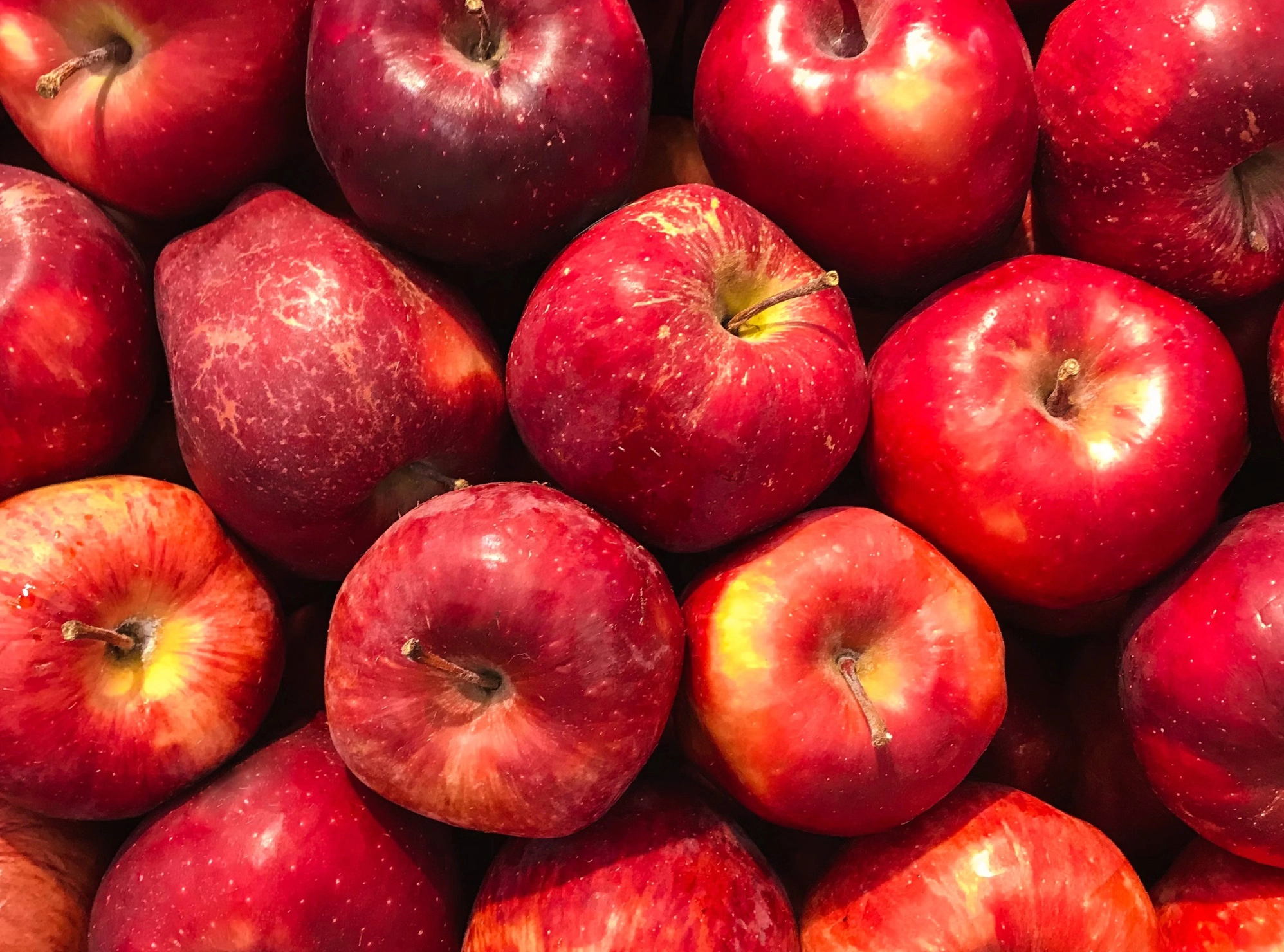 공복에 좋은 음식