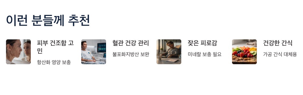 해바라기 씨 추천