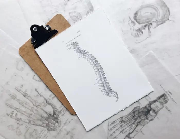 흑염소 진액 효능