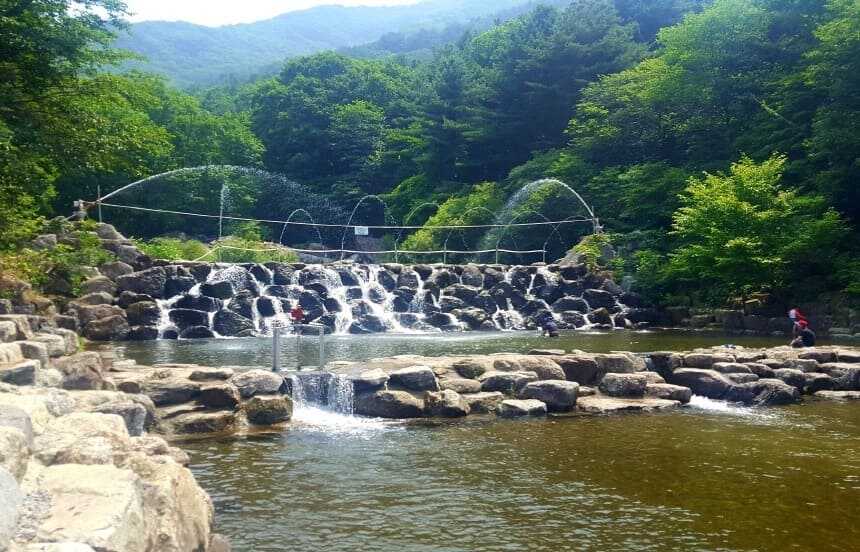 축령산 자연휴양림 물놀이장