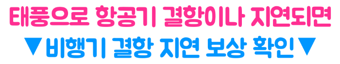 태풍-산산-후쿠오카-오사카-도쿄-영향-폭우-대비-비행기-결항-지연-보상-확인-태풍-여행-준비물-일본-여행-취소-주의-사항