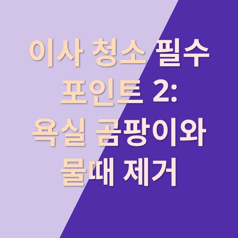 이사 청소_2