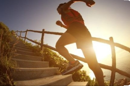 짧은운동 vs 긴운동