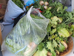 커다란 비닐 봉지안에 초록색의 잎사귀가 달린 무가 잔뜩 들어있고 그옆에는 대나무 바구니에 무가 담겨있다.