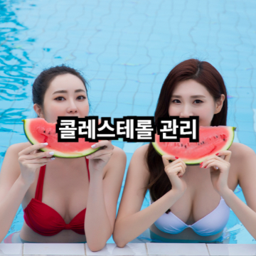 콜레스트롤 관리