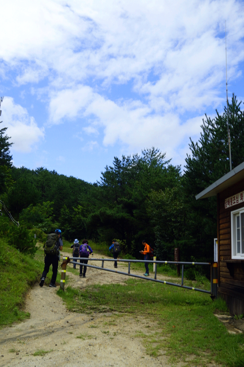 한국 명산 강원 경북 삼척 울진 응봉산 등산 mountain hiking