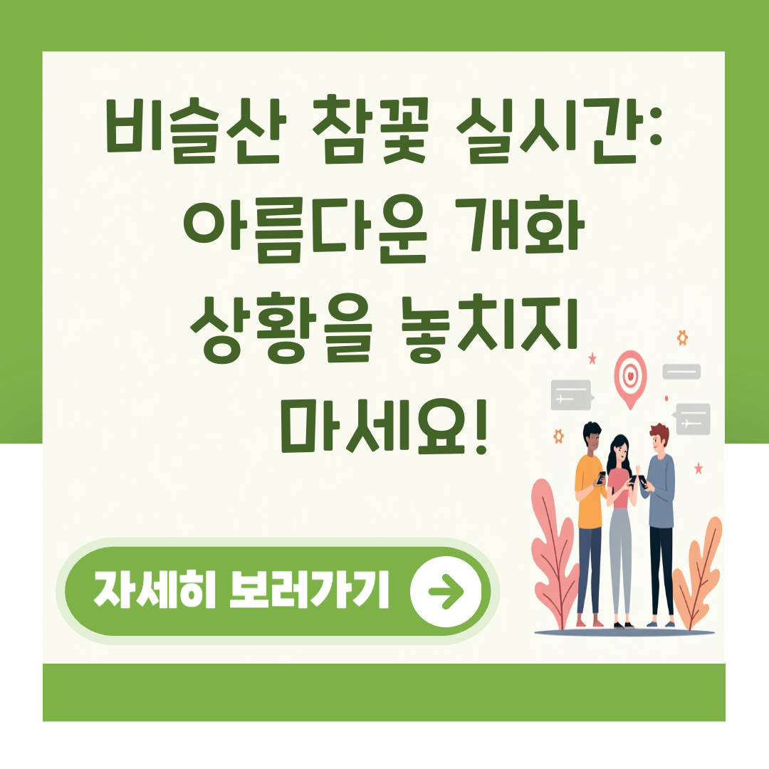 비슬산 참꽃 실시간: 아름다운 개화 상황을 놓치지 마세요! 대표 이미지
