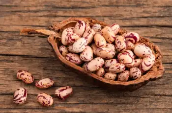 호랑이콩 효능 및 영양성분&amp;#44; 가격