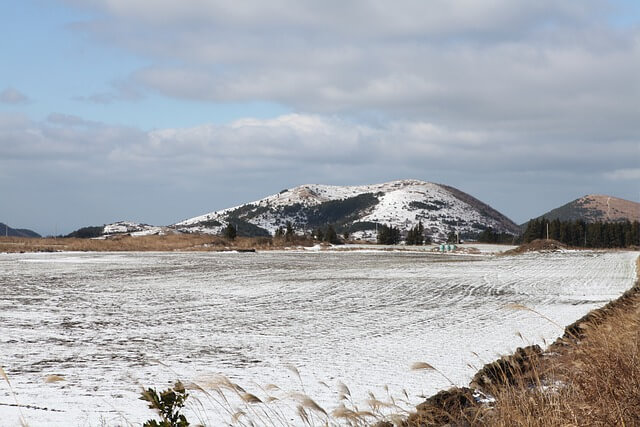 태백산 눈축제