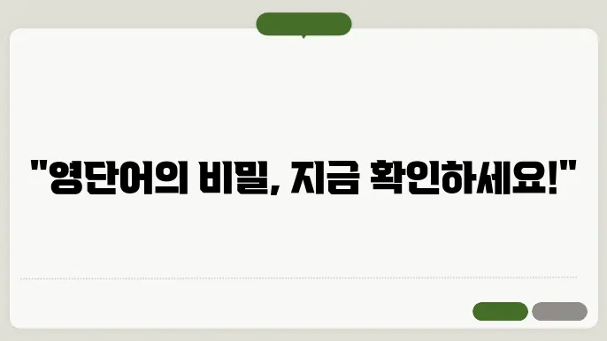 영어 단어 정보 정리