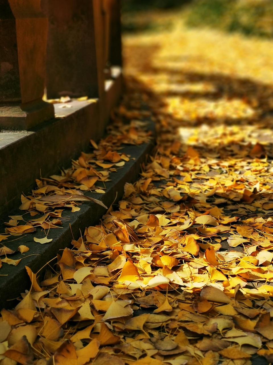 잠실 파크골프 예약