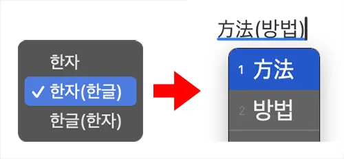 한자(한글)을 선택할 시 표시방식