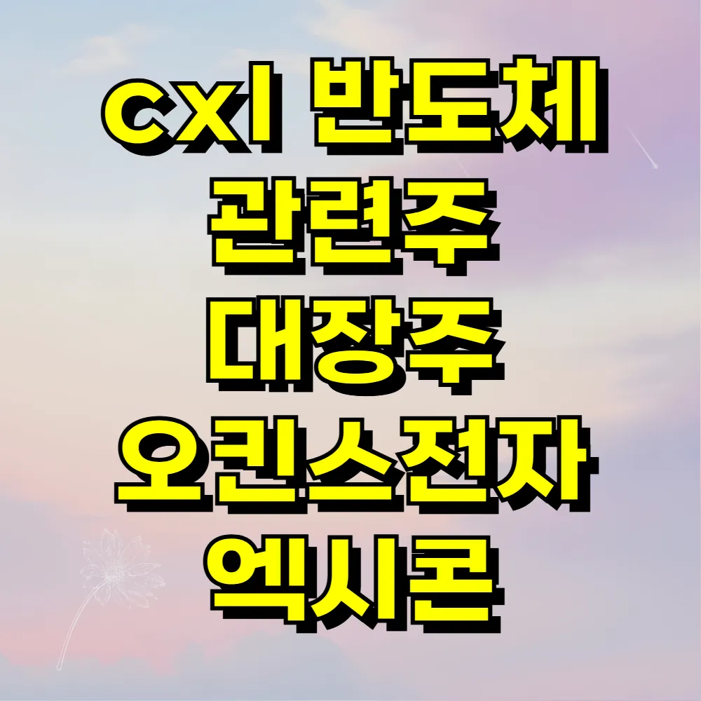 cxl 반도체 관련주 대장주 오킨스전자 엑시콘