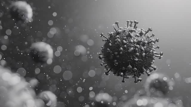 단백질의 기능과 역할