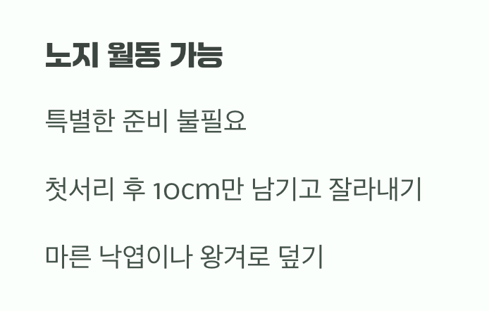 추위에도 끄떡없는 강인함