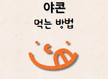 야콘 먹는 방법