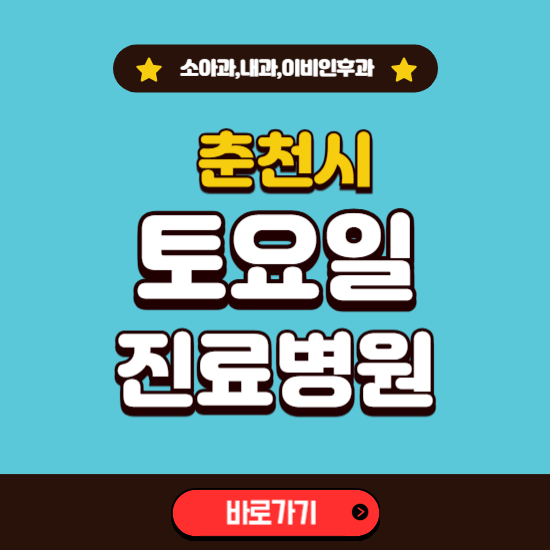 춘천시 토요일 진료 병원 찾기 ❘ 주말 문여는 소아과, 내과, 이비인후과 리스트