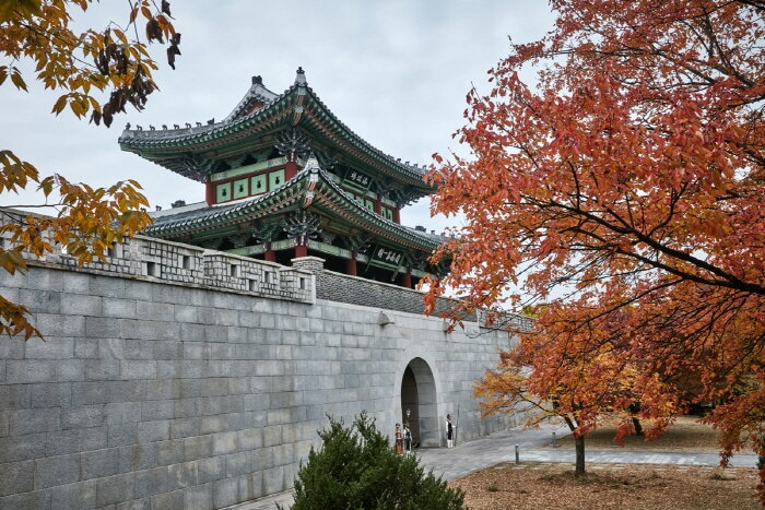 대구 가볼만한 단풍 여행은 어디일까? 대구 단풍 여행 총정리!