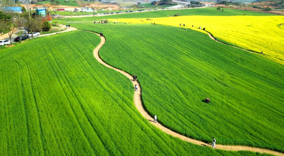 6월 국내여행지 추천 철도&amp;#44;항공권&amp;#44;렌트카 할인 최대50% 받는 방법