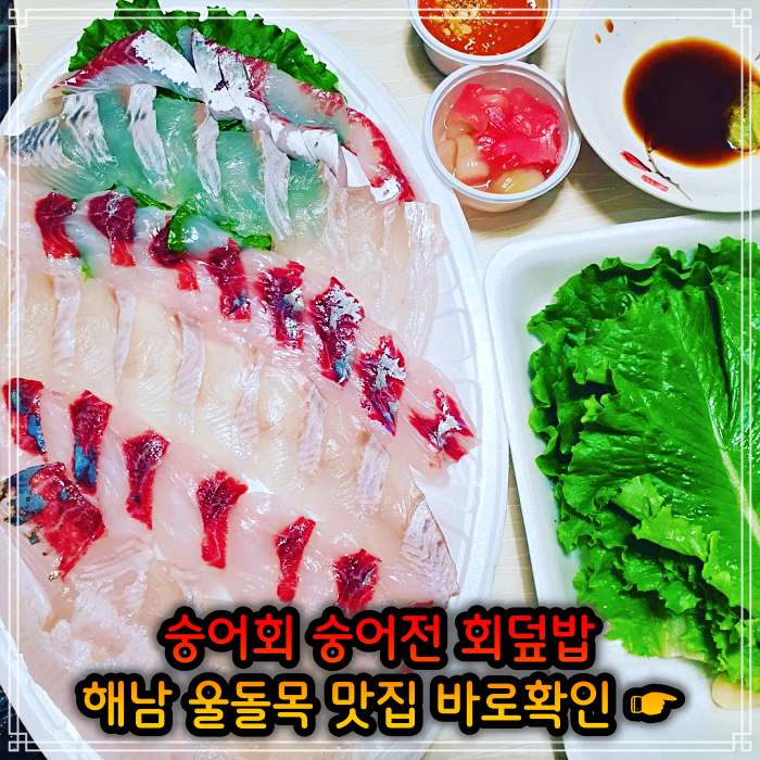 해남 진도 울돌목 맛집 뜰채로 잡아올린 숭어 회 한상
