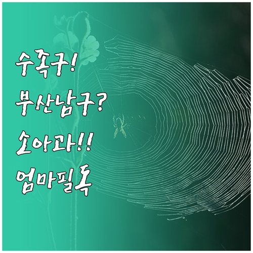 아이가 수족구라면, 부산 남구 소아과..