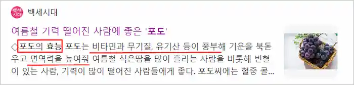 포도 면역력 강화 효능 기사 이미지