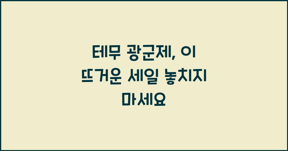 테무 광군제