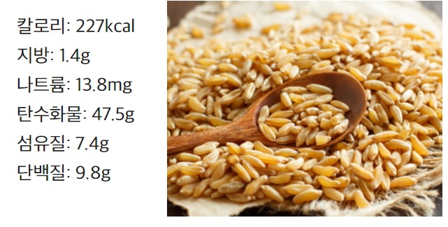 카무트-효소-효능