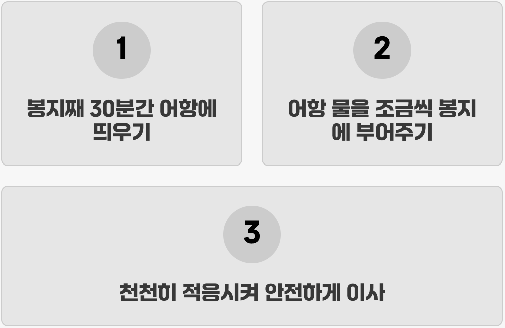 '물맞댐', 성공적인 이사의 첫걸음