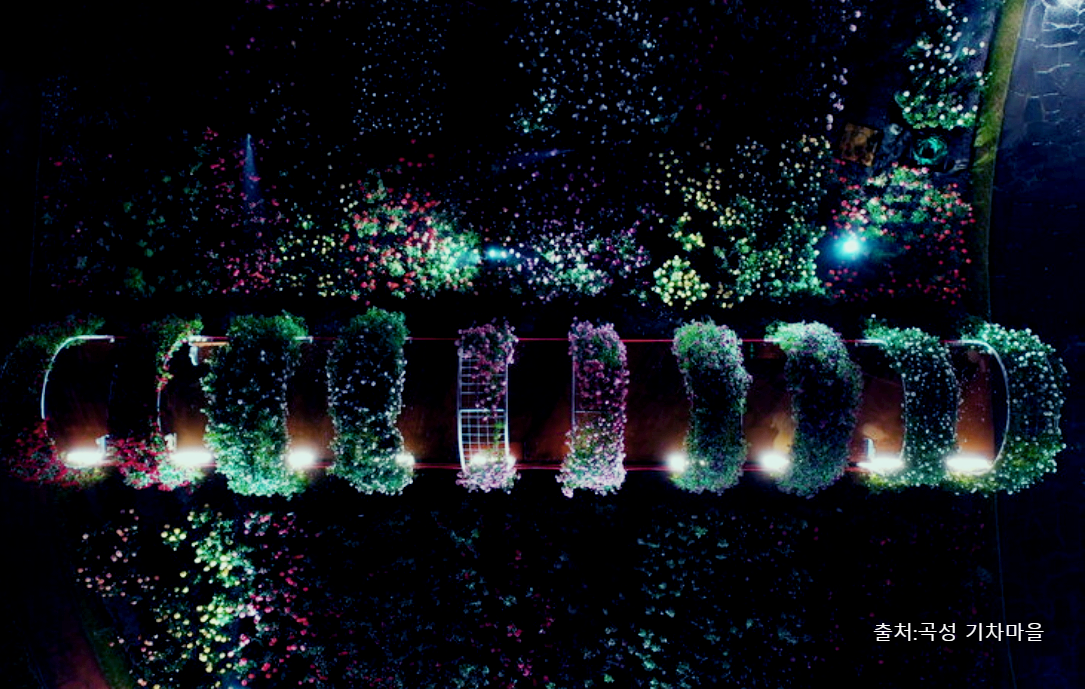 곡성 기차마을 세계 장미 축제