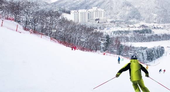 스키장 개장일 모나 용평