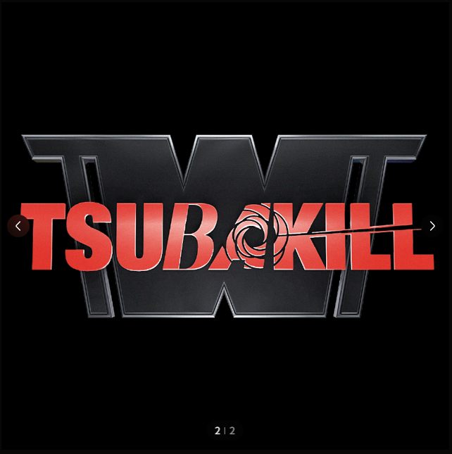 스트릿 우먼 파이터2