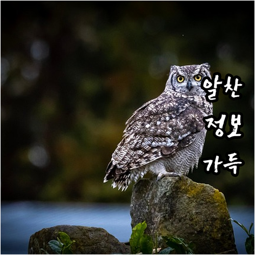 2025 거창군 영유아지원금 매달 3..