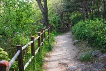 걷기좋은 숲길 50 서울 전남 경북_10