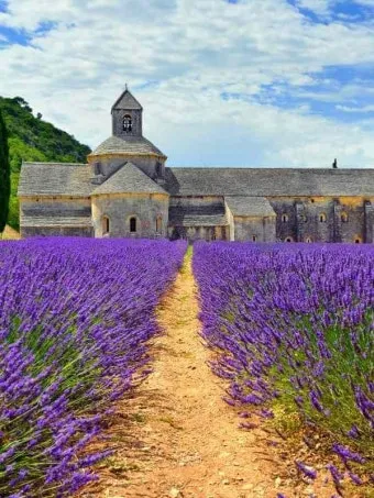 프로방스 비밀 정원 올리브 오일 허브 전통 요리 체험_11