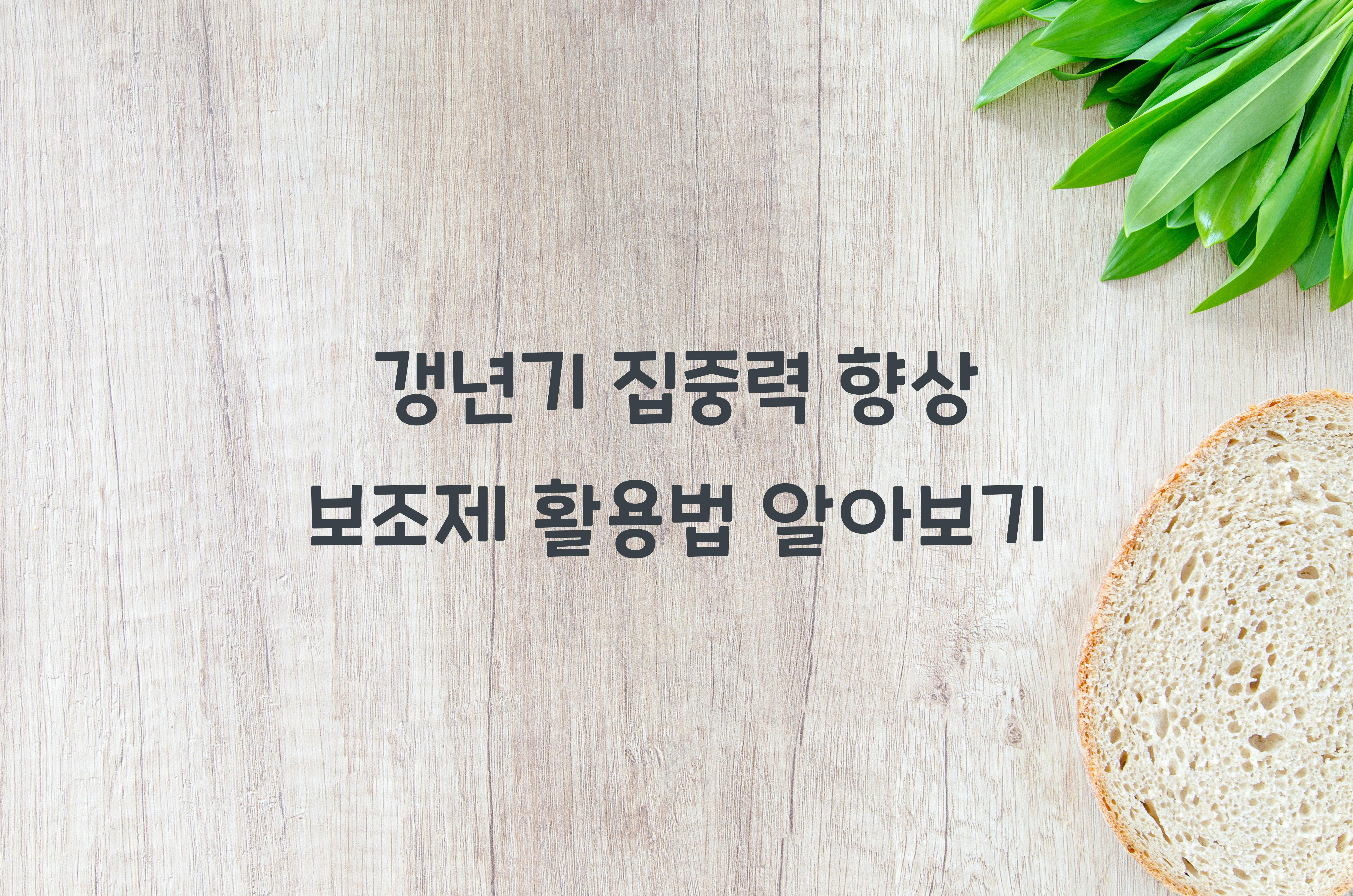 갱년기 집중력 향상 보조제