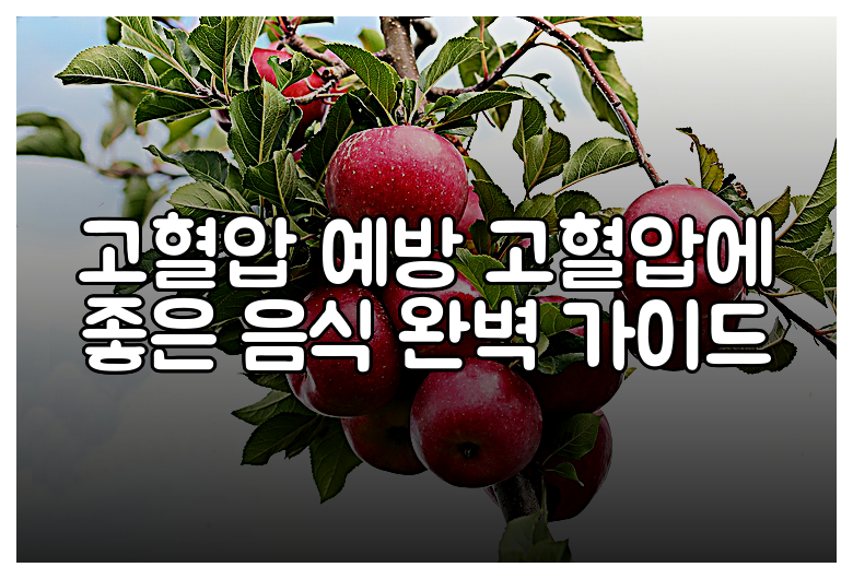 고혈압 예방 고혈압에 좋은 음식 완벽 가이드