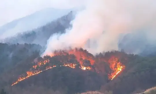 산청-산불-피해