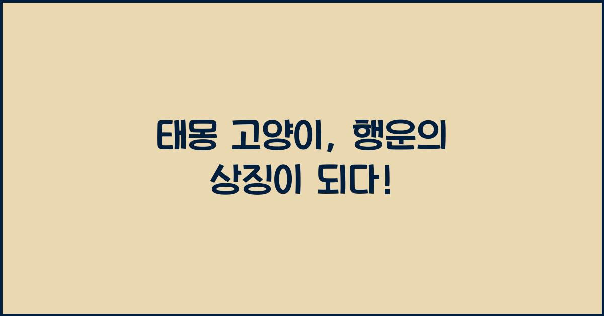 태몽 고양이