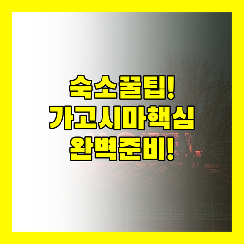 가고시마 숙소 선택의 모든 것 세 호..