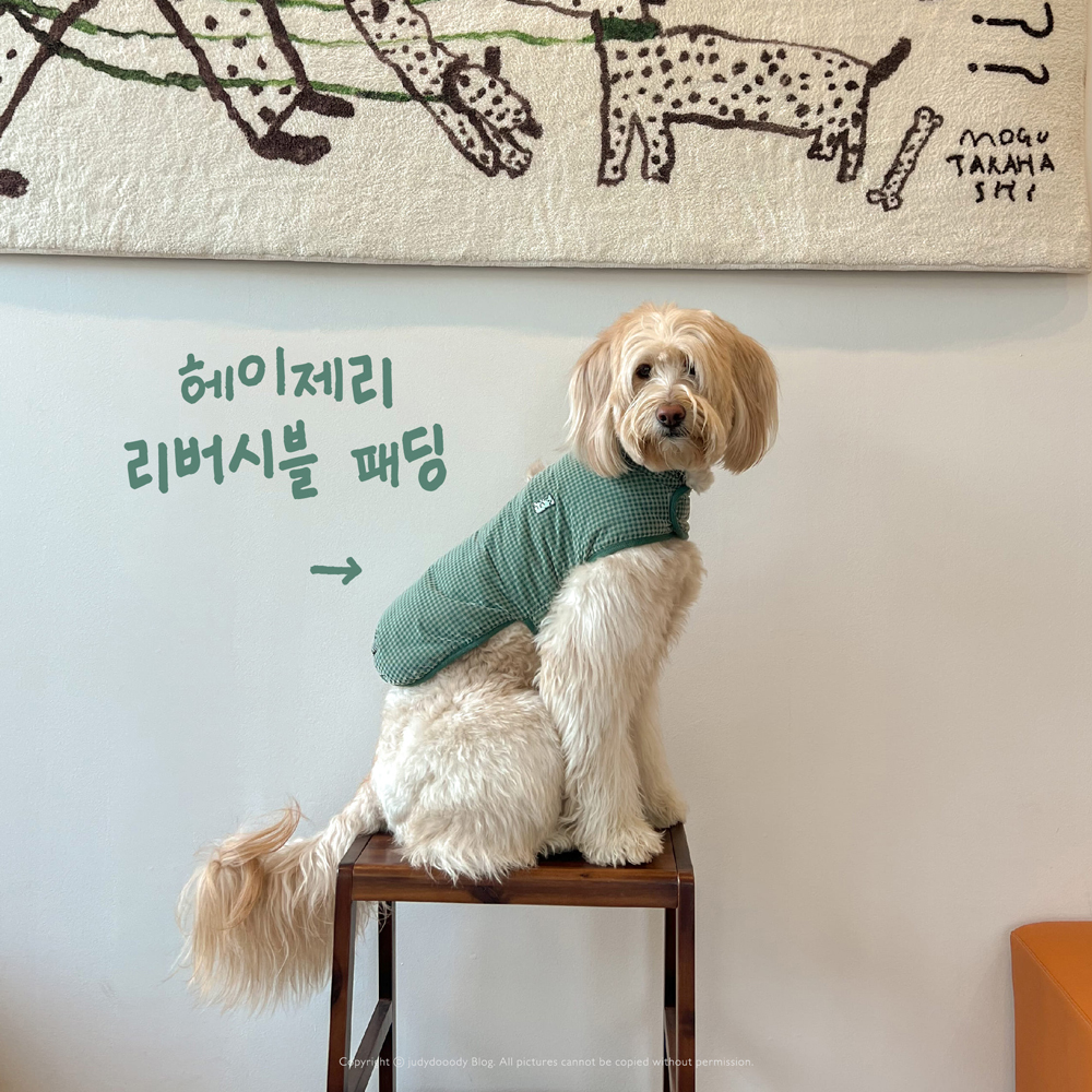 헤이제리 패딩 착샷