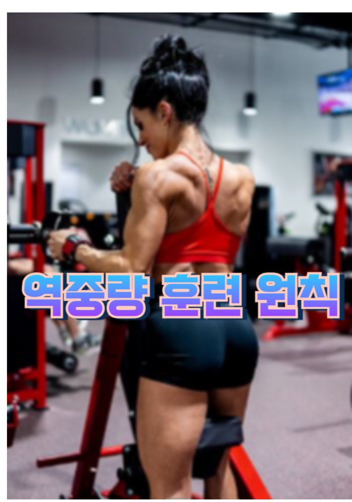1.역중량 훈련 원칙