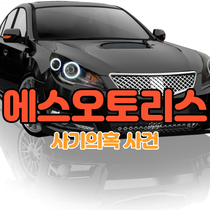 에스오토리스-사기의혹