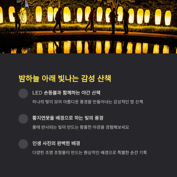 밤하늘 아래 빛나는 감성 산책