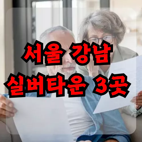 서울 강남 실버타운 3곳