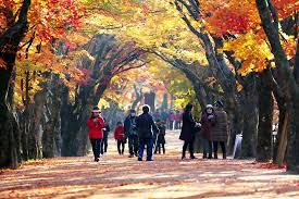 가을 단풍여행 꼭 가볼한 곳 베스트 5 여기는 꼭 가보세요!