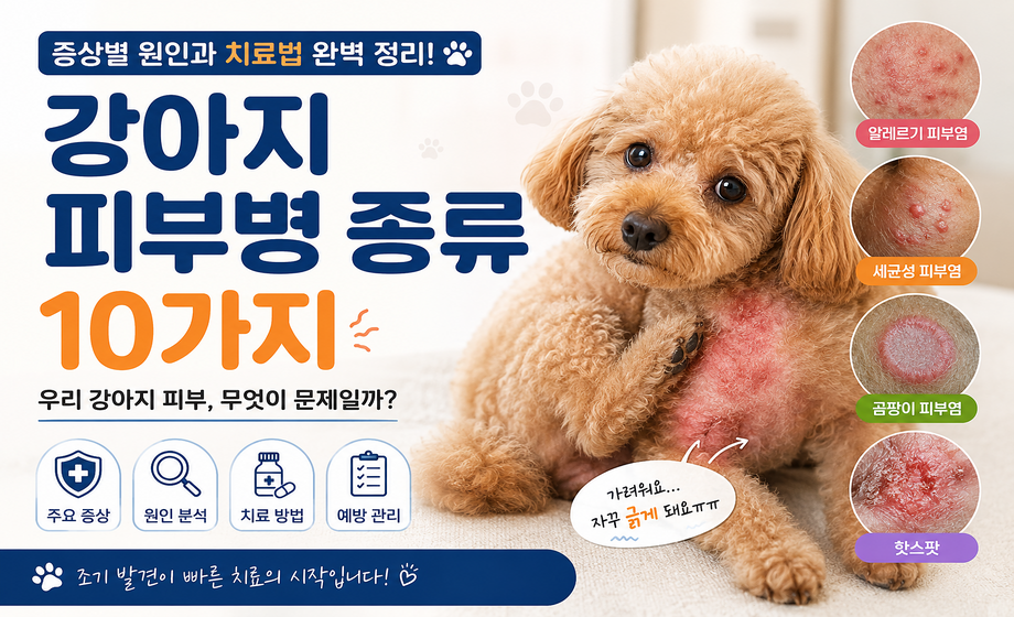 강아지 피부병 종류 10가지와 주요 증상 대표 이미지