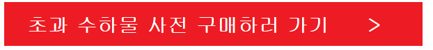 초과-수하물-안내-이미지