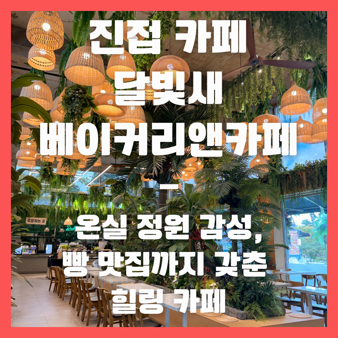 남양주 진접 ‘달빛새 베이커리 앤 카페’ — 온실 정원 감성, 빵 맛집까지 갖춘 힐링 카페